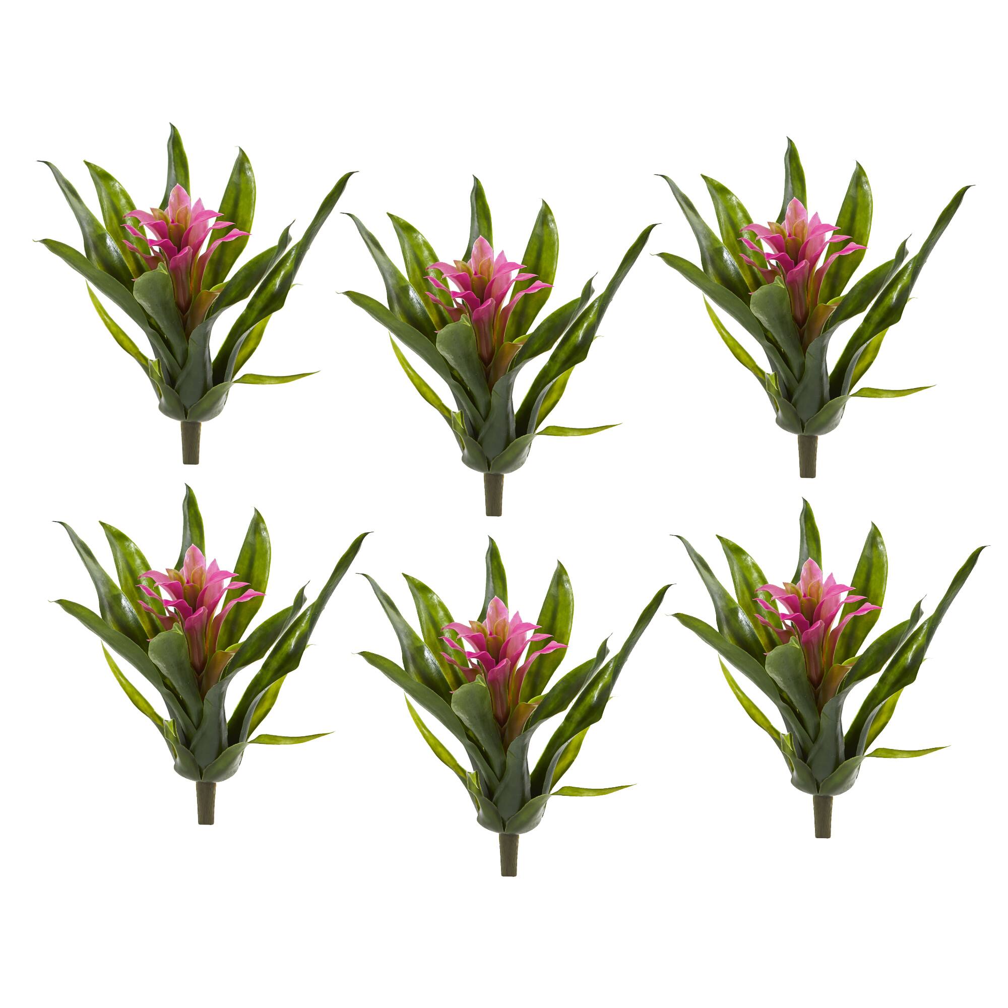 Bromeliad Flower Stem